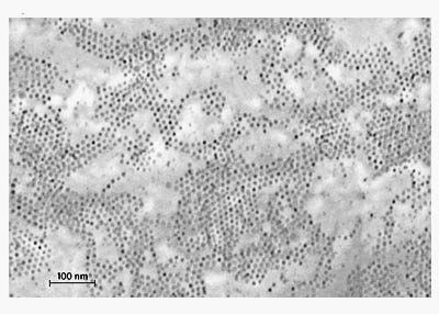 Cobalt nano particles monolayer dispersion
